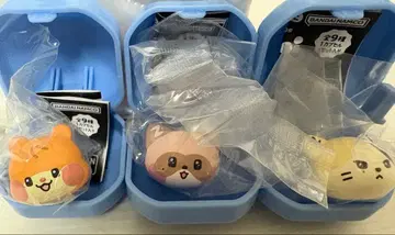 제로니 ZERONI  반지 가챠 비니니 하니니 리니니