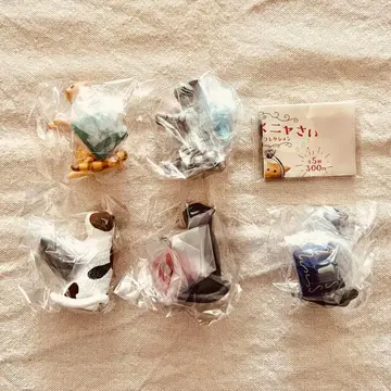 [전 5종 컴프 세트] 결혼해 주세요 반지 스탠드 컬렉션