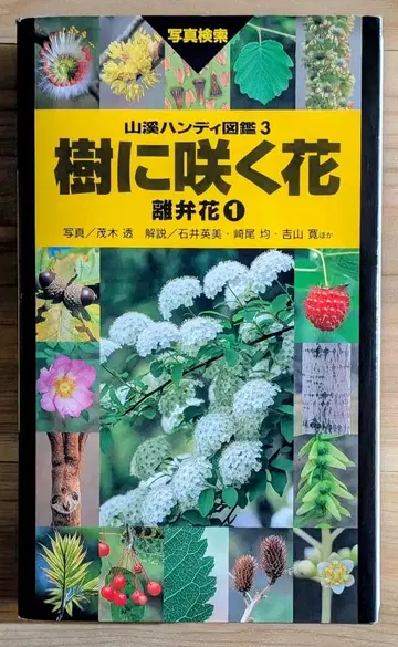 나무에 피는 꽃 / 이판화1