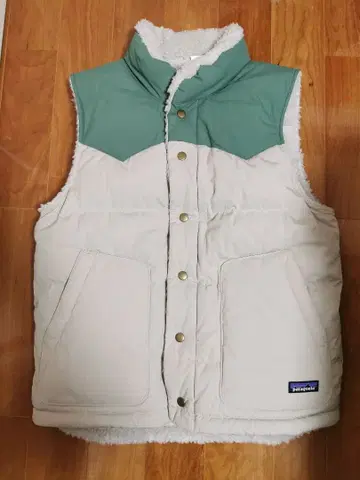 파타고니아 다운 베스트 리버서블 비비 FA22