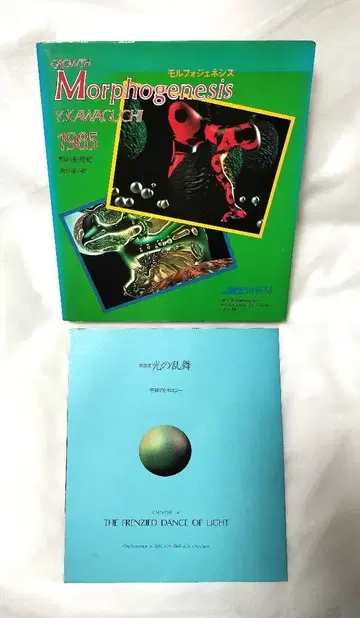 Morphogenesis 1985 모포제네시스 카와구치 요이치로