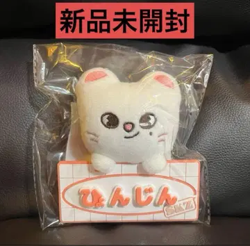 stray kids 스키즈 현진 네임 백참 키링