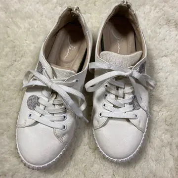 [ 새상품급 ] 지우 jins 화이트 레이스업 스니커즈 24.5~25.5