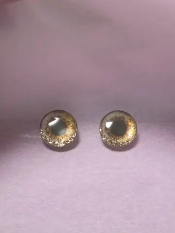 작가님 브라이스 Blythe 아이칩