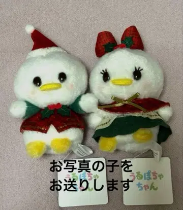 2025년 크리스마스 우루호챠짱 도날드 & 데이지