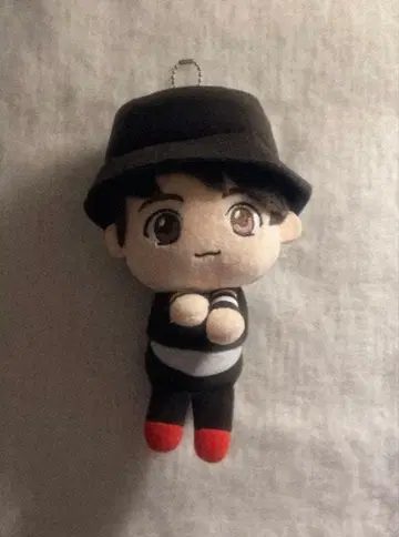 K-POP 봉제 인형 모자 포함 약 15cm