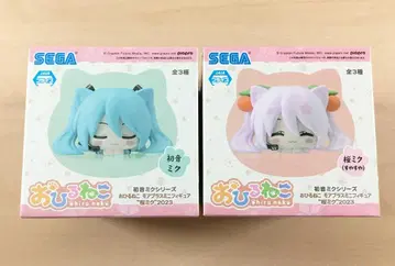 새상품 낮잠 하츠네 미쿠 벚꽃 미쿠 포근 피규어 2종 세트 2023