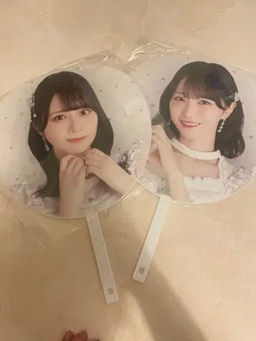 사사키 마이카 노구치 이오리 부채 이코럽 8주년