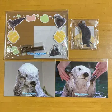 카프 복권 x 토바 수족관 랏코의 메이짱 복권 리턴즈! B상 D상 E상