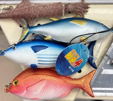 말랑말랑 활어 도미 오징어 가다랑어 참치