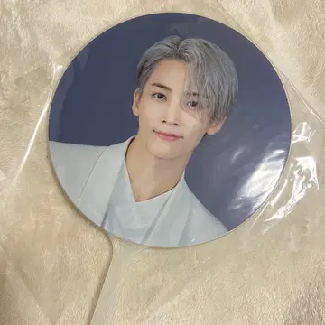 세븐틴 ODE TO YOU 서울 콘서트 부채 정한