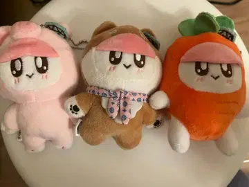 모자 꽁지 seventeen 돼지 개 당근