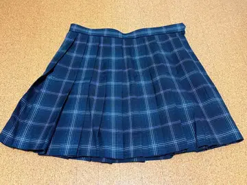 네이비 계열 체크 플리츠 스커트 아스카 미라이