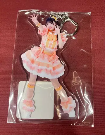 iLiFE ONELiFE 복권 무도관 코구마 마무 D상 아크릴 키링 의상