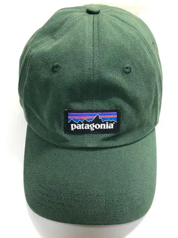 파타고니아 patagonia P-6 라벨 트레디셔널 캡 그린 모자