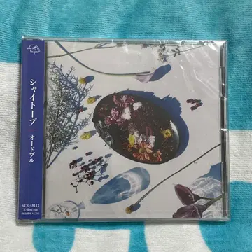 shytaupe 샤이트프 오토블