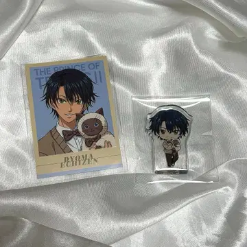 신 테니스의 왕자님 POP UP Autumn 에치젠 료마 카드 블록