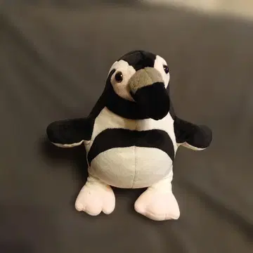 TAKE OFF사 펭귄 후와후와 24cm