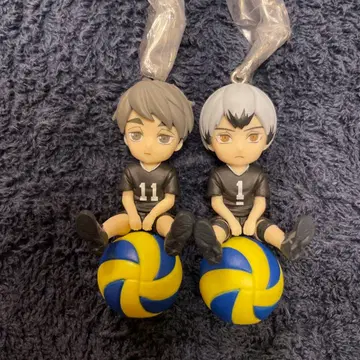 하이큐!! 푸칫토노리마스 vol.5