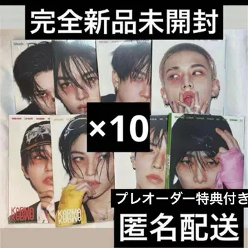 straykids 스키즈 accordion 아코디언 미개봉 트레이딩 카드