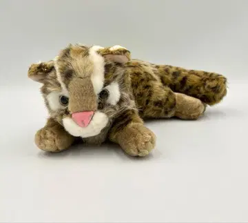 AQUA 아쿠아 이리오모테삵 봉제 인형