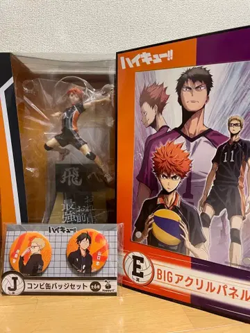 히나타 쇼요 액션 피규어 & 캔뱃지 세트