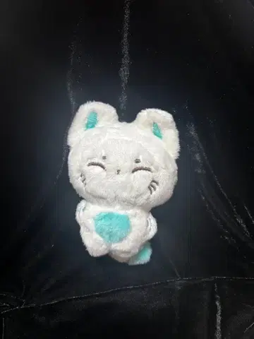 enhypen 선우 봉제 인형 마스코트 마스터