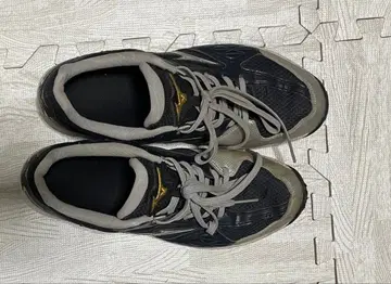 [ 27.5cm ] MIZUNO Pro 미즈노 프로 트레이닝 슈즈