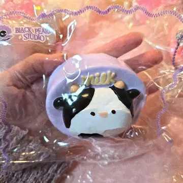 니에니에 Black Pearl Studio 퍼플 소 스퀴즈