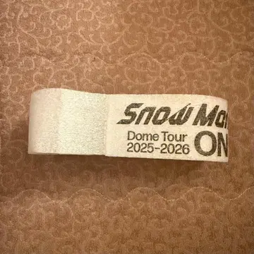 Snow Man 돔 투어 2025-2026 ON 낙하물