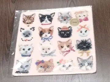 20일까지 한정판 페이러 프리티 캣츠