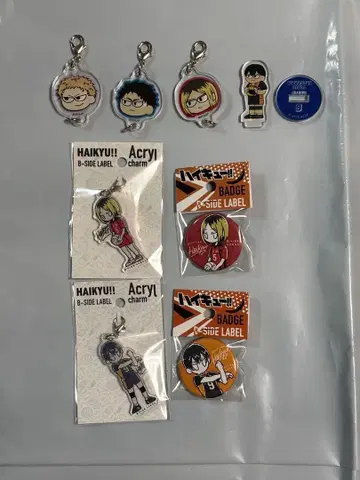 하이큐!! B-SIDE LABEL 지로리