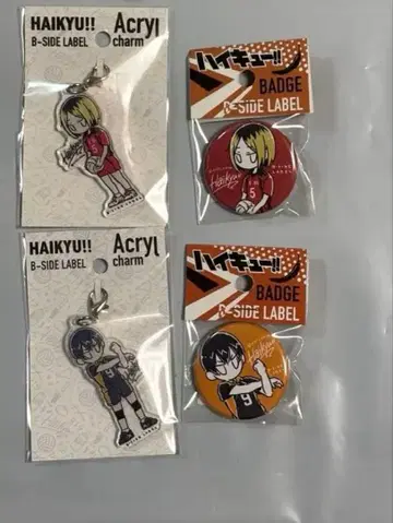 하이큐!! B-SIDE LABEL