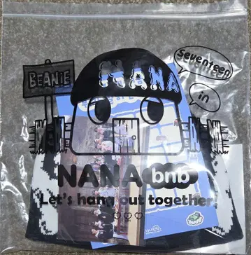 SEVENTEEN bnb 비니 호시