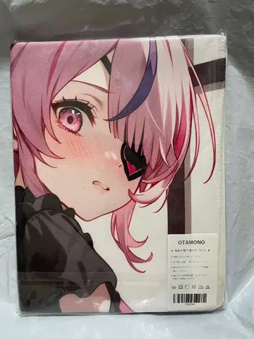 84299 니지산지 마리아