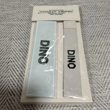 SEVENTEEN right here 와펜 디노 DINO