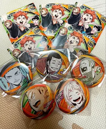 하이큐 팬파크 컬렉션 캔뱃지 카라스노 고교