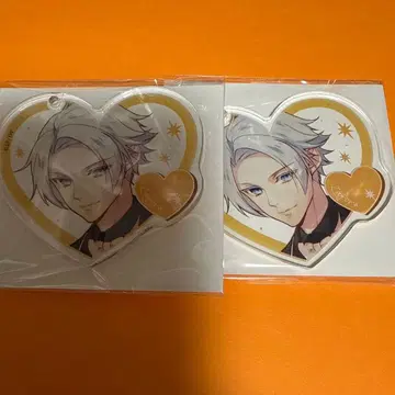 라디안테일 아크릴 키링 자포라