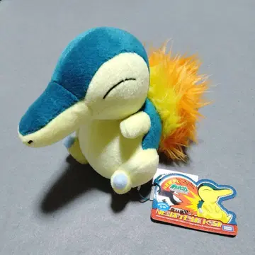 블레이범 NEW 포켓몬 봉제 인형