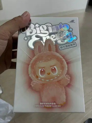 POP MART 산 러브브 Biginto.Energy 미개봉 새상품