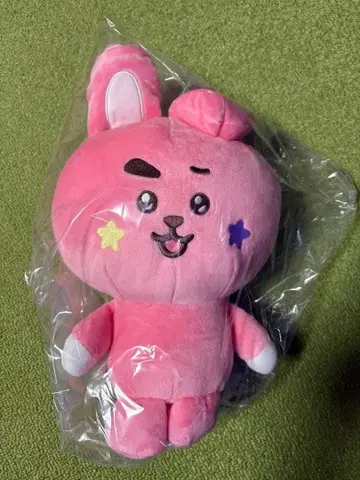 BT21 The journey 모후굿토 봉제 인형 COOKY
