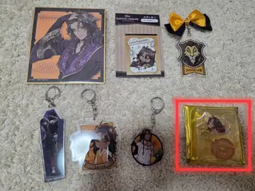 트위스테 레오나 묶음 판매