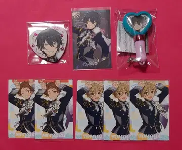 앙스타 스타포니 하트 캔뱃지 미니 펜라이트 카드 미카 외