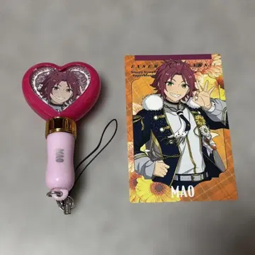 스타포니 앙스타 이사라 마오