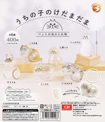 우리 아이 털뭉치 정품