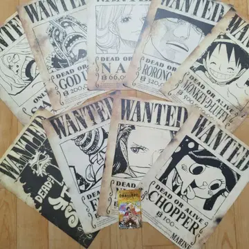 원피스 수배서 세트 ( A4 사이즈 )