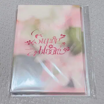 앙스타 스타포니 팜플렛