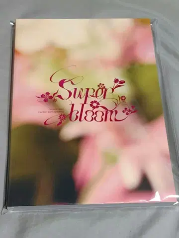 앙스타 스타포니 4th 팜플렛