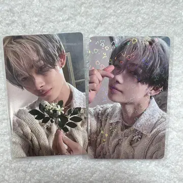 ENHYPEN 니키 orange blood 트레이딩 카드 세트