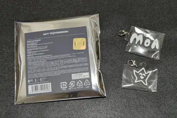 TXT ACT:TOMORROW 아크릴 참 태현